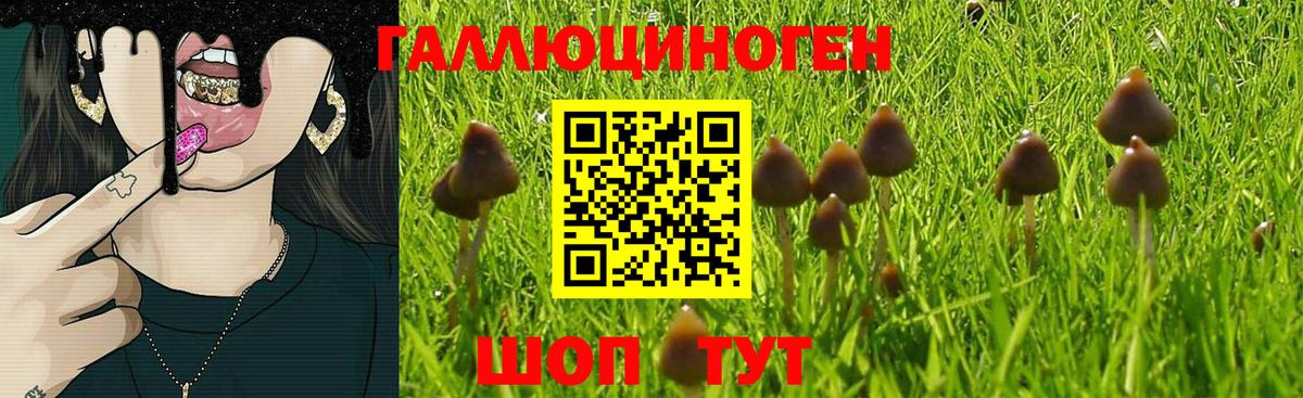 Галлюциногенные грибы GOLDEN TEACHER Старая Купавна